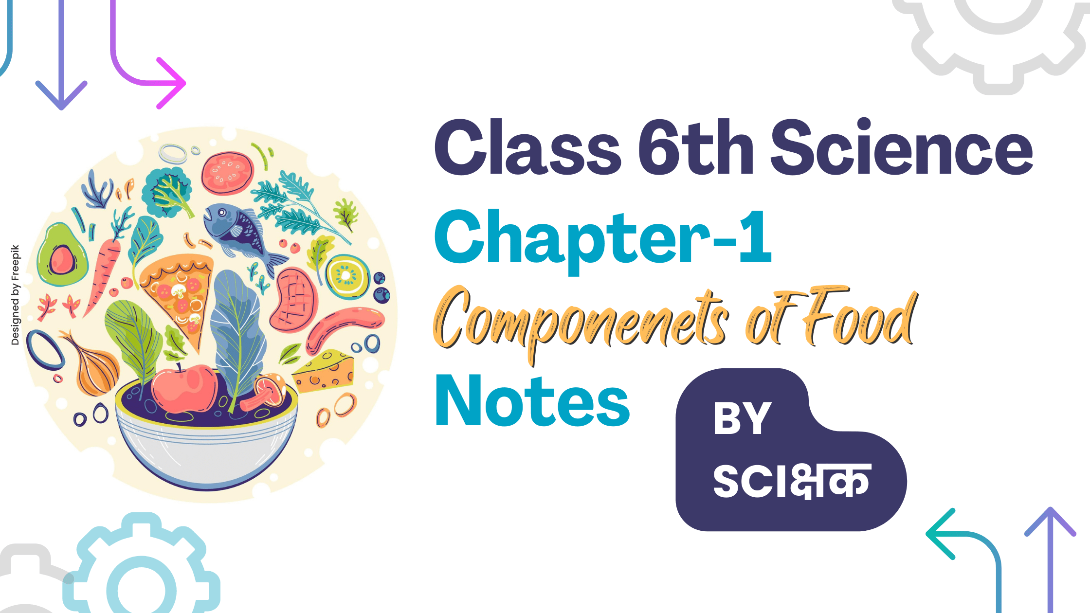 Class 6 Science Chapter 1 Notes