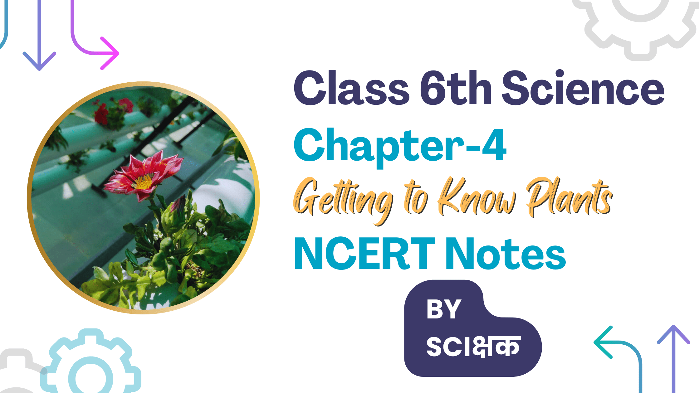 class 6 science chapter 4 notes