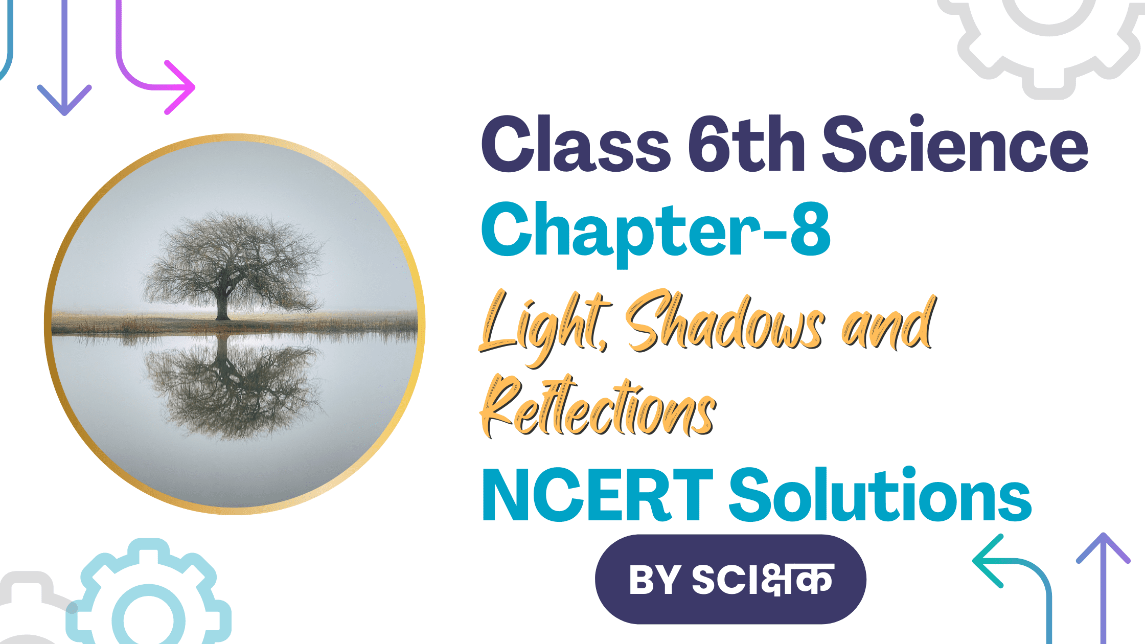 class 6 science chapter 8 ncert solutions