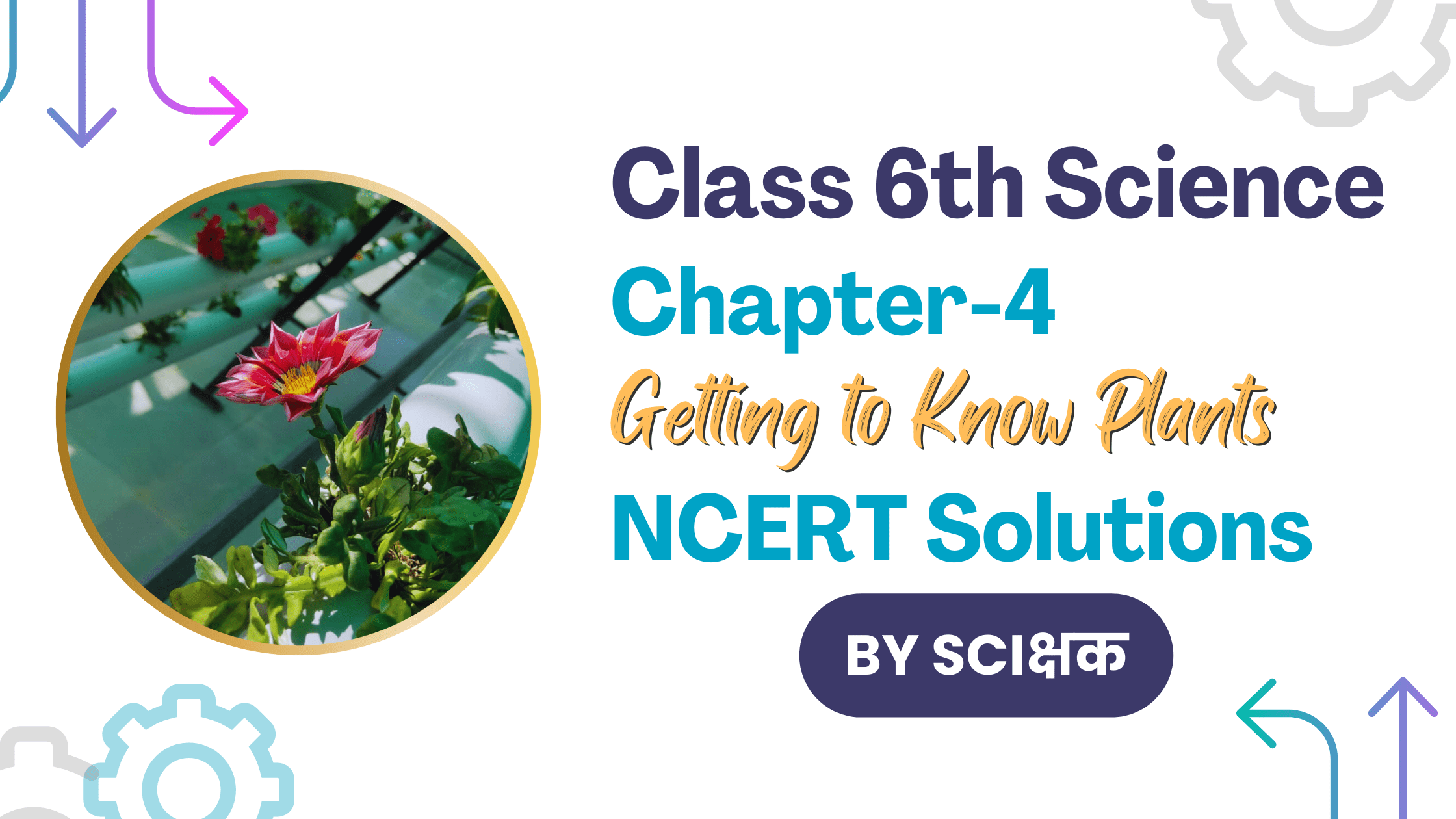 class 6th science chapter 4 ncert solutions