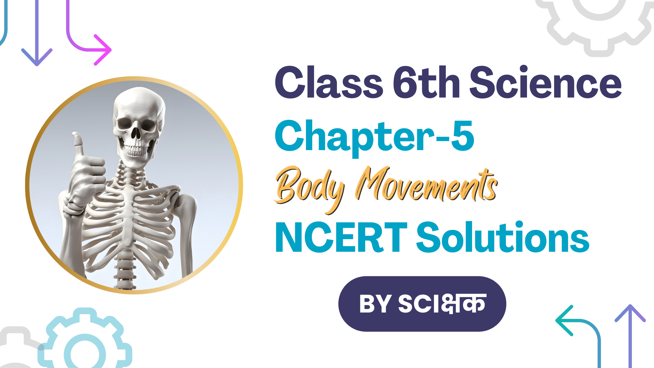 Class 6 science chapter 5 ncert solutions