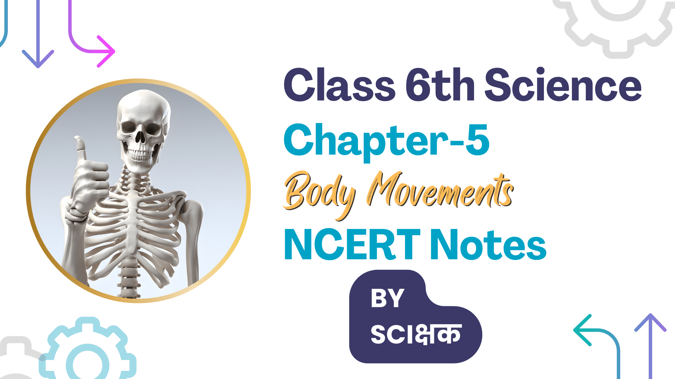 class 6th science chapter 5 notes