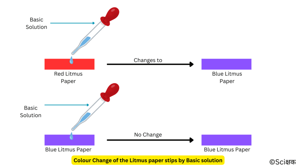 colour change of the litmus paper strips by basic solution