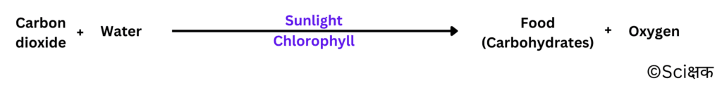 equation of photosynthesis