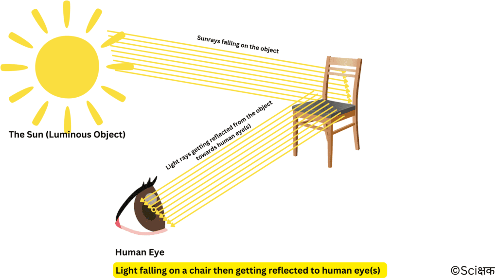 Reflection of light from an object towards human eyes