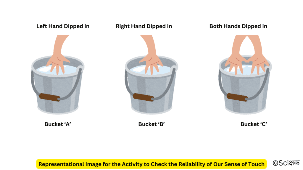 Representational Image for the activity to check the reliability of our sense of touch