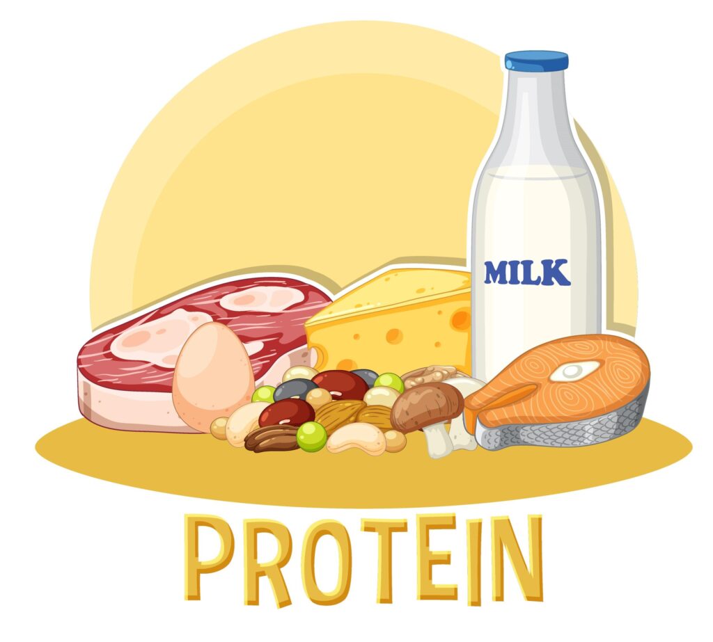 Sources of Proteins