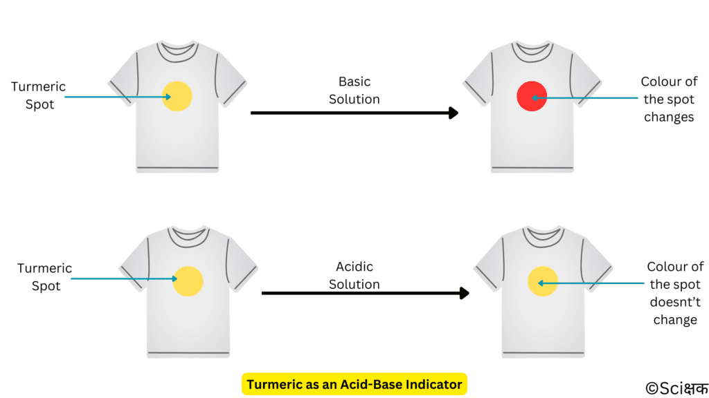 Turmeric as an acid-base indicator