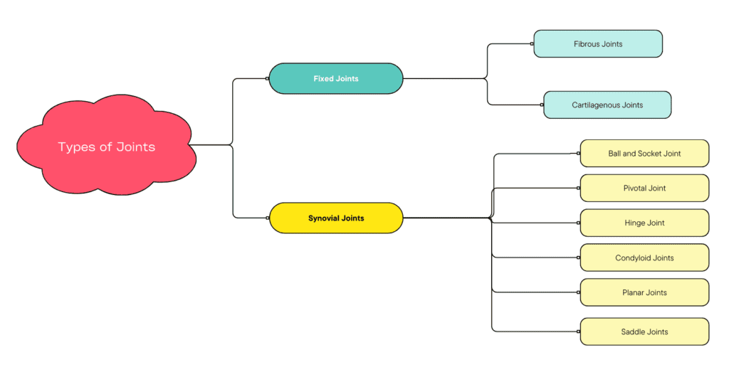 Types of Joints