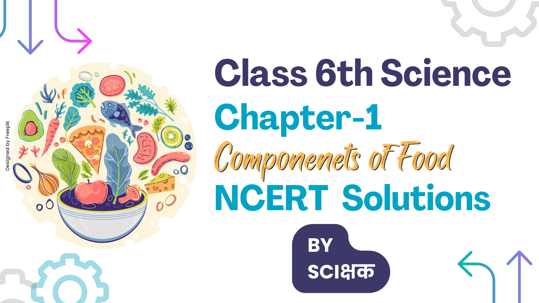 class 6 science chapter 1 ncert solutions