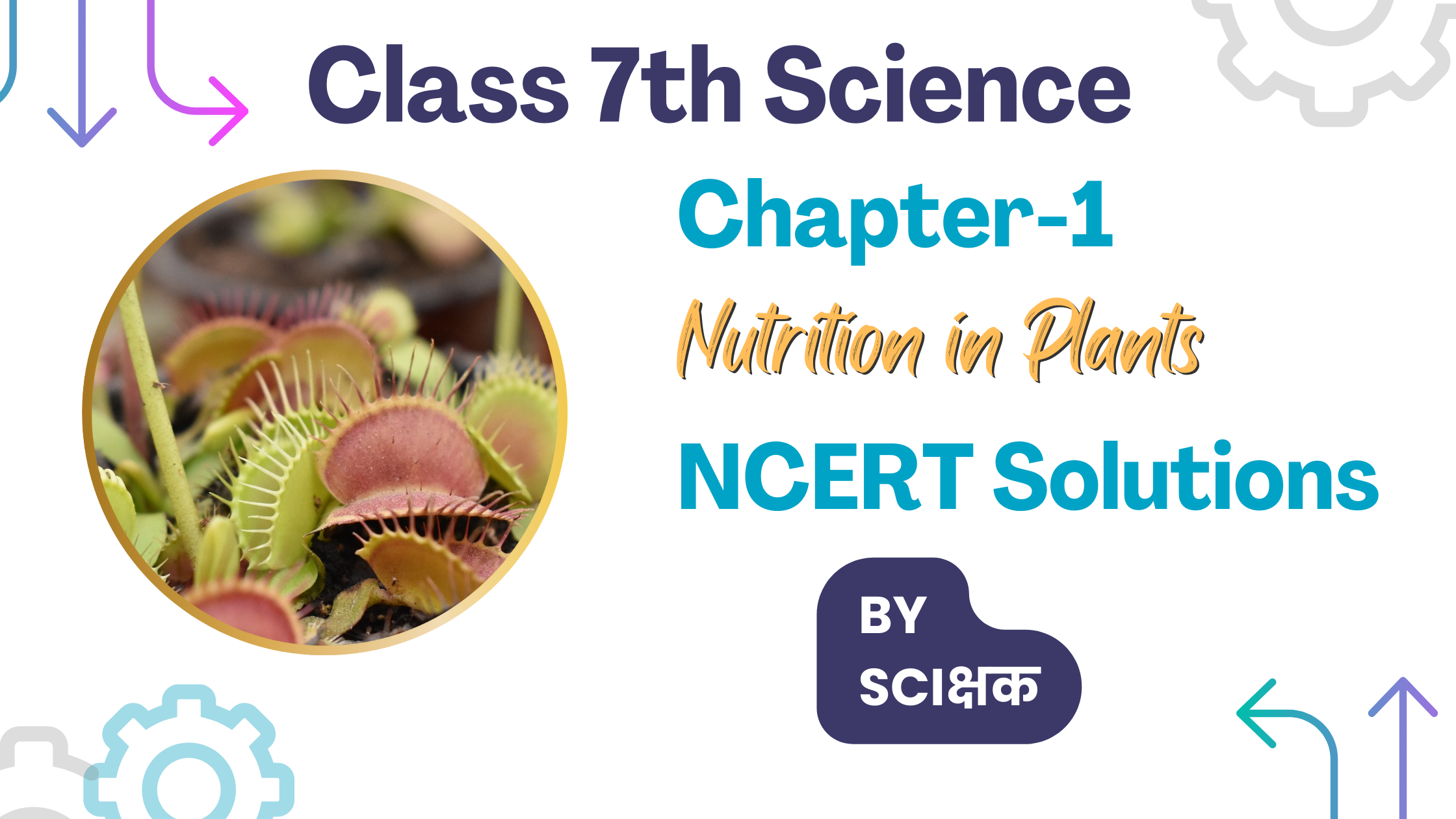 class-7-science-chapter-1-ncert-solutions