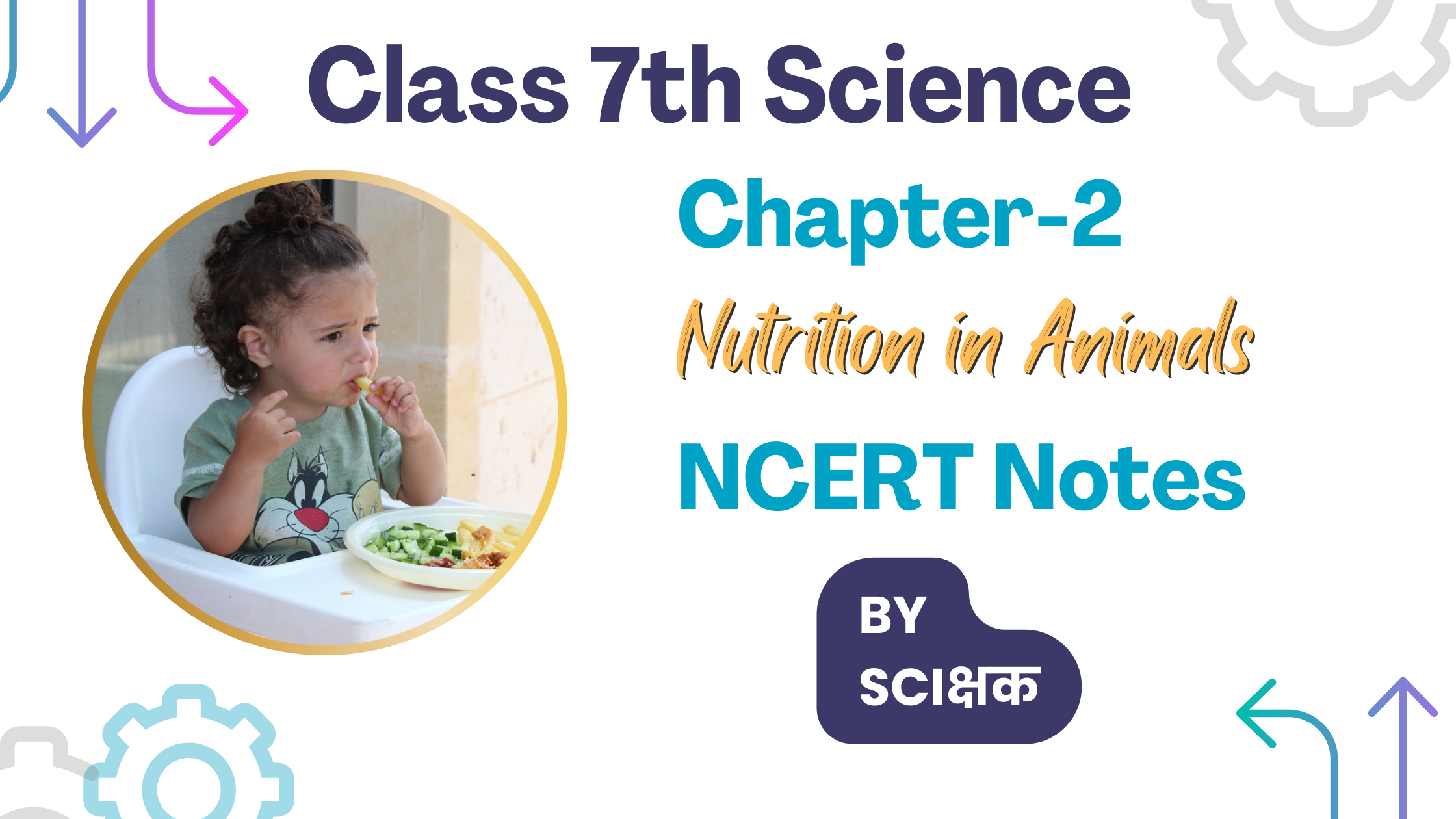 class-7-science-chapter-2-notes