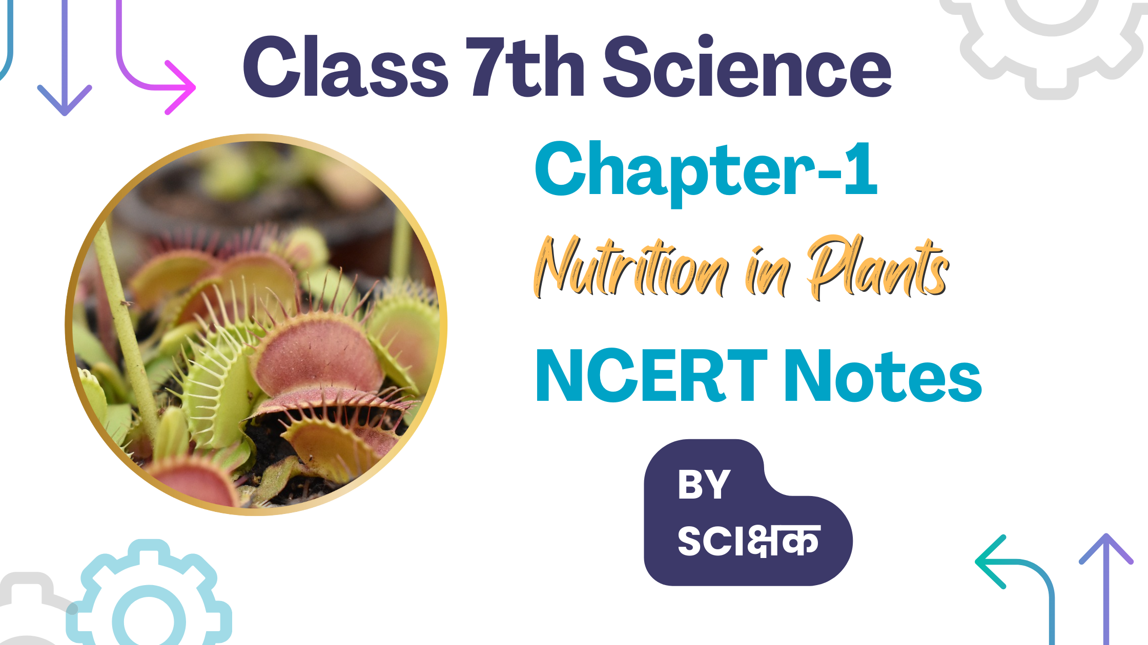 class-7th-science-chapter-1-notes