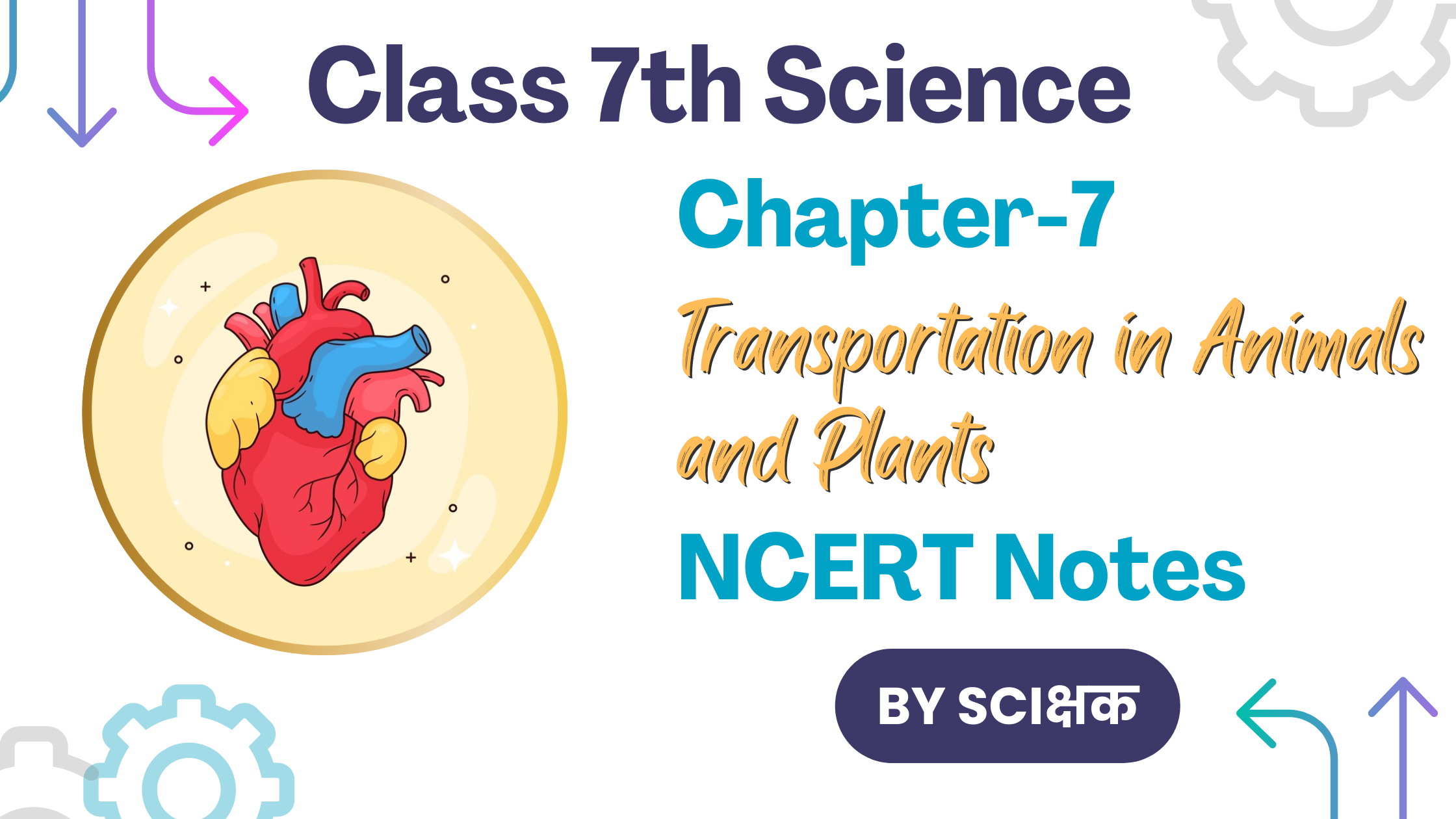 class 7th science chapter 7 notes