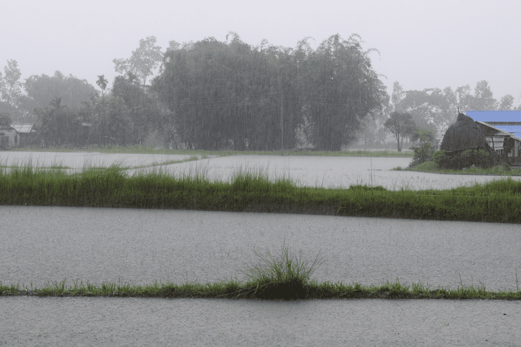 Heavy Rainfall