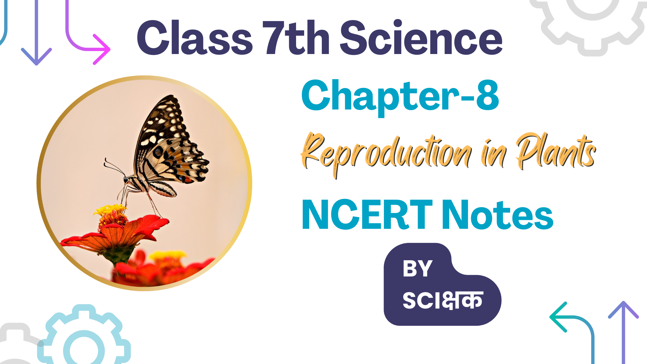 Class 7th science chapter 8 NCERT Notes